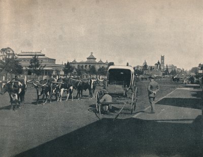 Pietermaritzburg, vers 1900 - Unbekannt