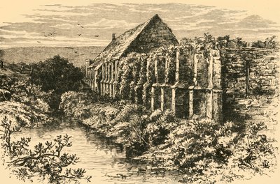 Ruines de la grange, Abbaye d