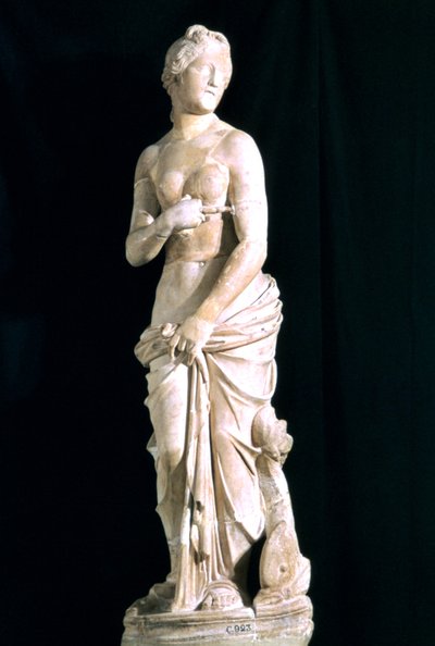 Statue de la chaste Vénus, de Carthage - Unbekannt