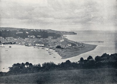 Teignmouth - Vue générale du Dene, 1895 - Unbekannt