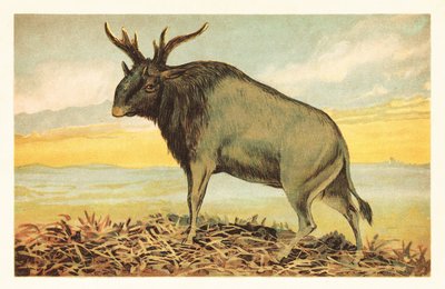 La bête de Shiva, Sivatherium giganteum. 1908 - Unbekannter Künstler