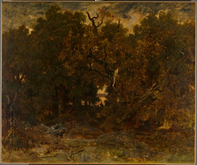 Sortie de la forêt, Fontainebleau : Coucher de soleil - Unknown artist