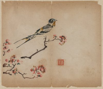 Hirondelle sur une branche de pêcher en fleurs - Unknown artist