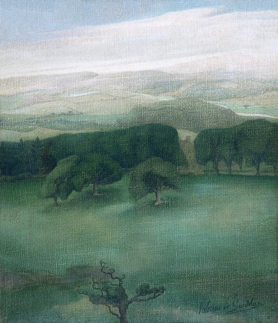 Montagnes dans le Cardiganshire, années 1910 - Valerius de Saedeleer