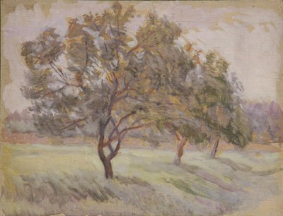 Arbres fruitiers - Walther Gamerith