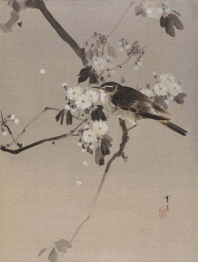 Oiseaux sur une branche fleurie, vers 1887 - Watanabe Seitei