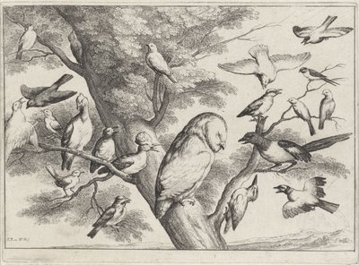 Oiseaux dans un arbre (série Différents oiseaux) - Wenceslaus Hollar