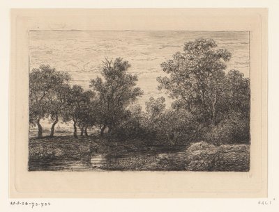 Ruisseau - Willem Roelofs (I)