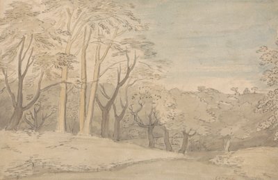 Paysage boisé - William Blake