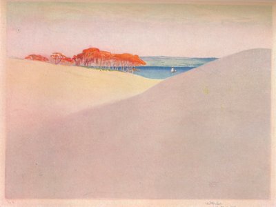 Dunes de sable, Danemark - William Giles