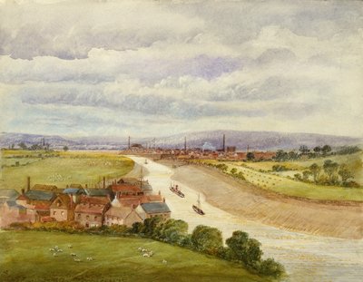 Bristol - William John Willcox