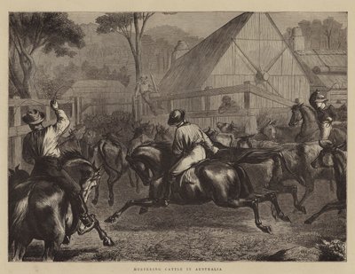 Rassemblement de Bétail en Australie - William Ralston