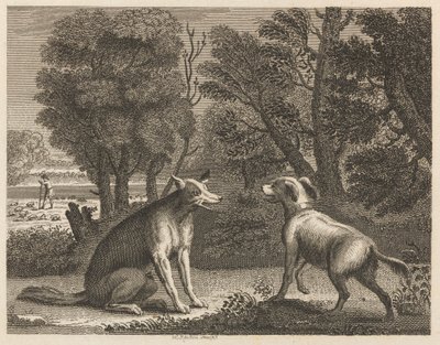 Le Chien du Berger et le Loup - William Skelton