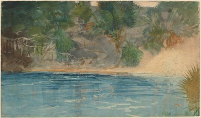 Source Bleue, Floride - Winslow Homer