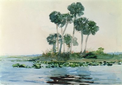 Rivière Saint-Jean, Floride, 1890 - Winslow Homer