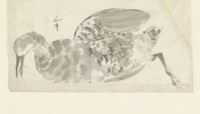 Oiseau aquatique mort - Yamamoto Shinryo Baiitsu (possibly)