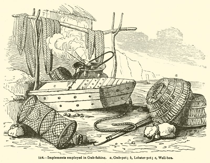 Outils utilisés pour la pêche au crabe - English School