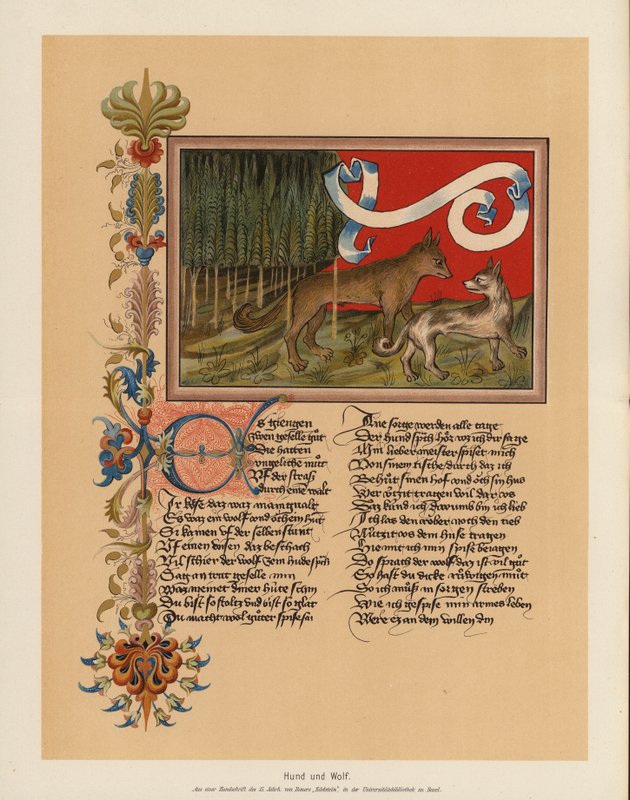 Chien et loup - (after) German School