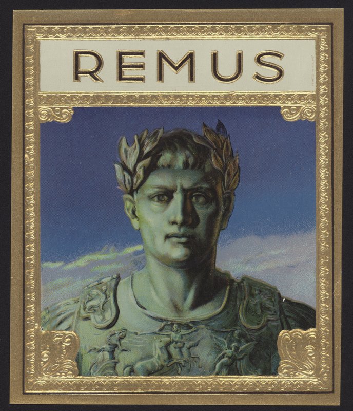 Rémus - American School