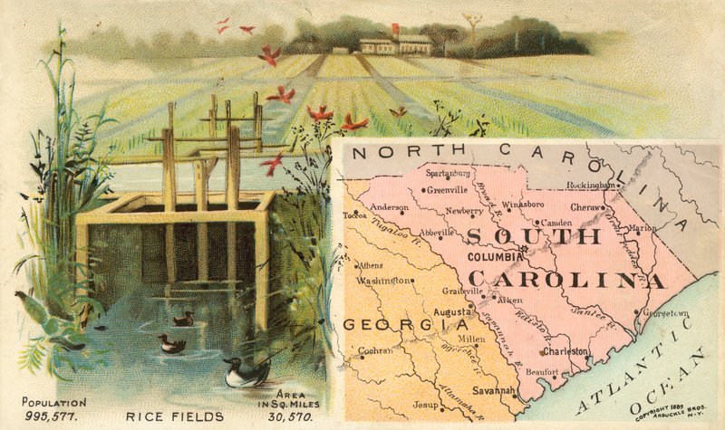 Caroline du Sud, États-Unis - American School