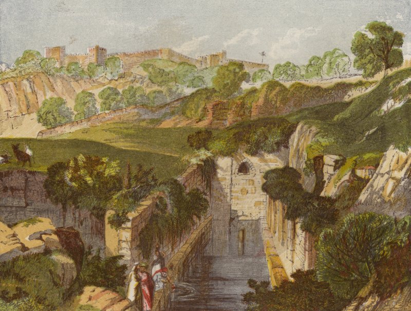 Piscine de Siloé - English School