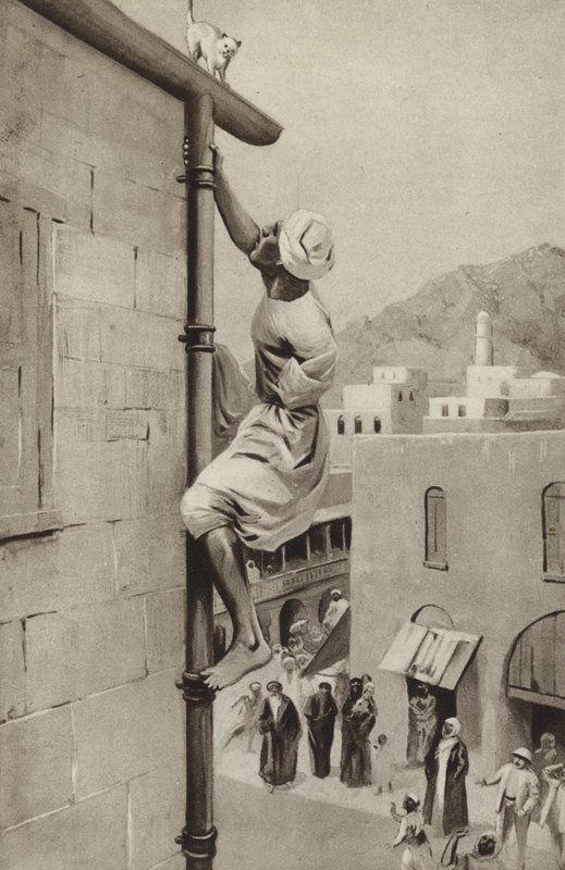 Walter Greenway grimpe à un tuyau, avec un bras, pour sauver un chat en détresse - English School