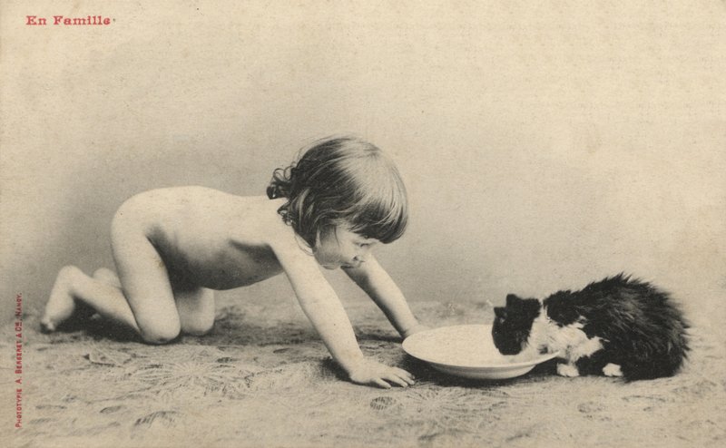 Enfant avec un chaton - French Photographer