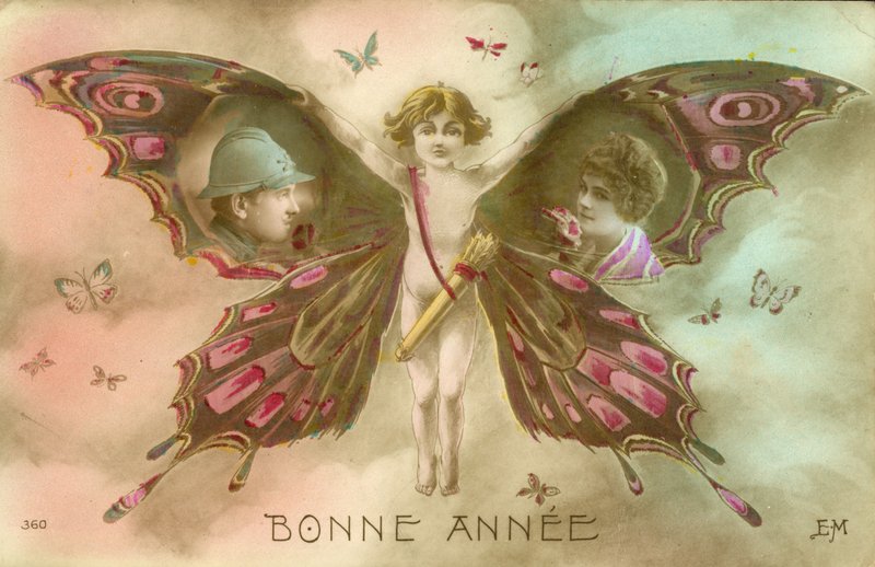 Couple inséré dans les ailes d