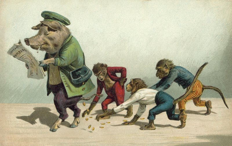 Singes ramassant des pièces de monnaie laissées par un cochon - French Photographer