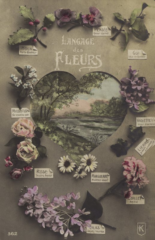 Le langage des fleurs - French Photographer