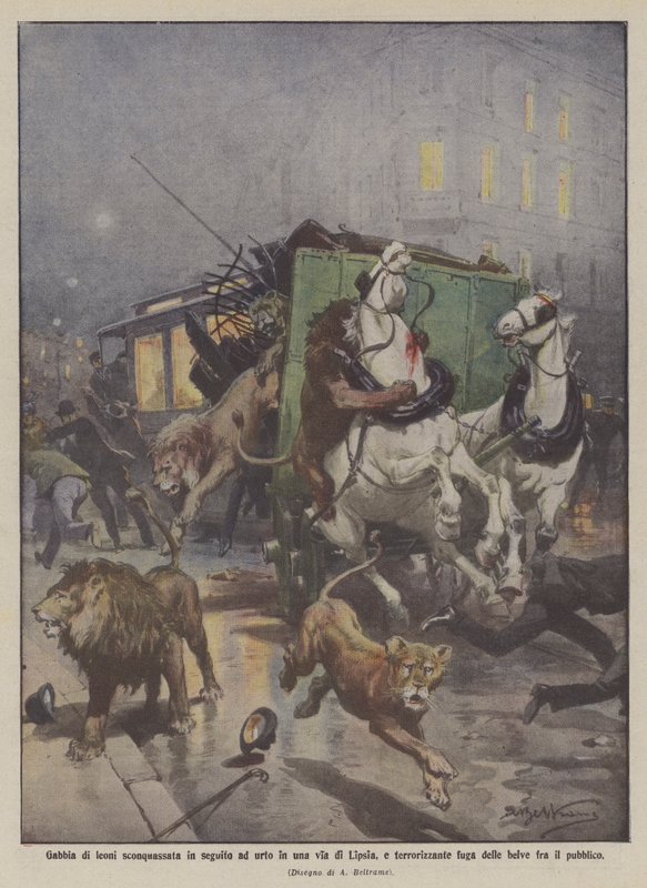 Cage de lions renversée suite à une collision dans une rue de Leipzig, et fuite terrifiante des - Achille Beltrame