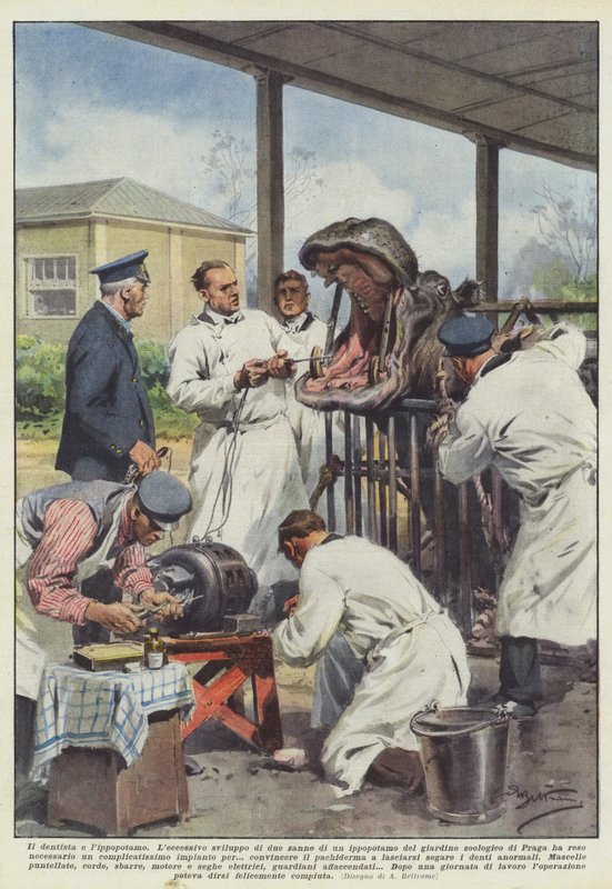 Le dentiste et l
