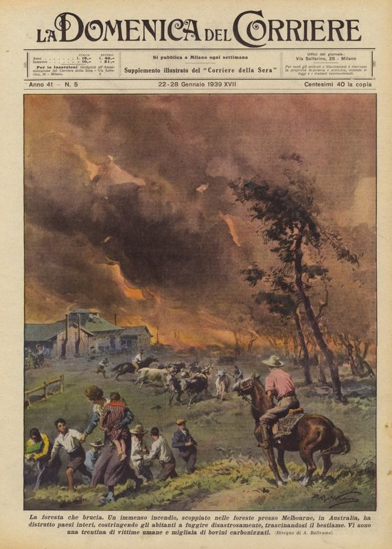 La forêt en feu - Achille Beltrame