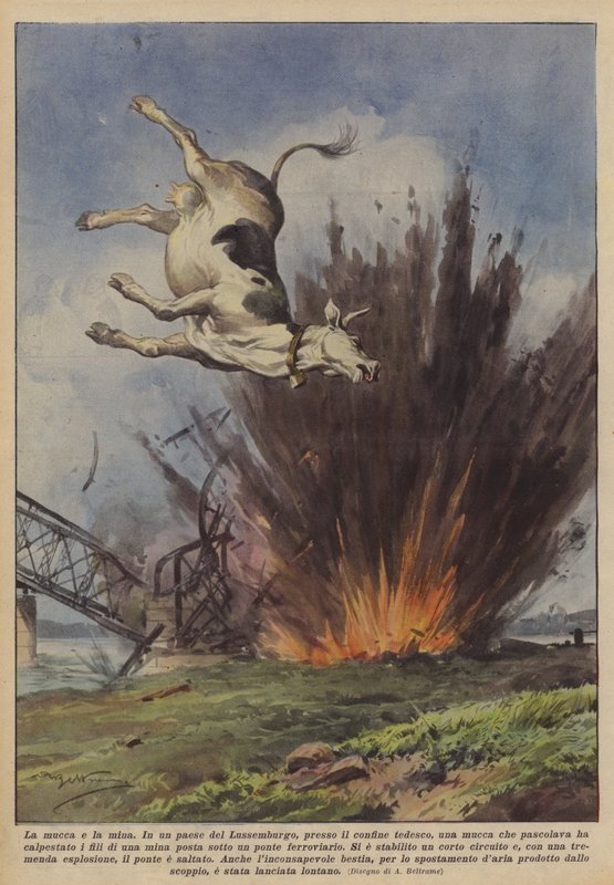 La vache et la mine - Achille Beltrame