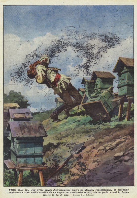 Tué par les abeilles - Achille Beltrame