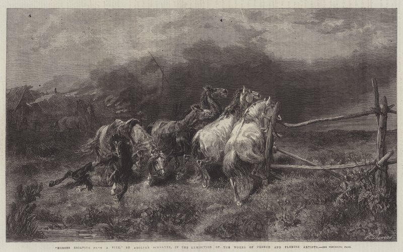 Chevaux s