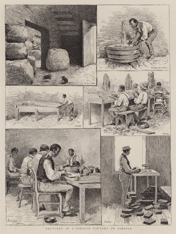 Croquis dans une Usine de Tabac en Jamaïque - Adrien Emmanuel Marie