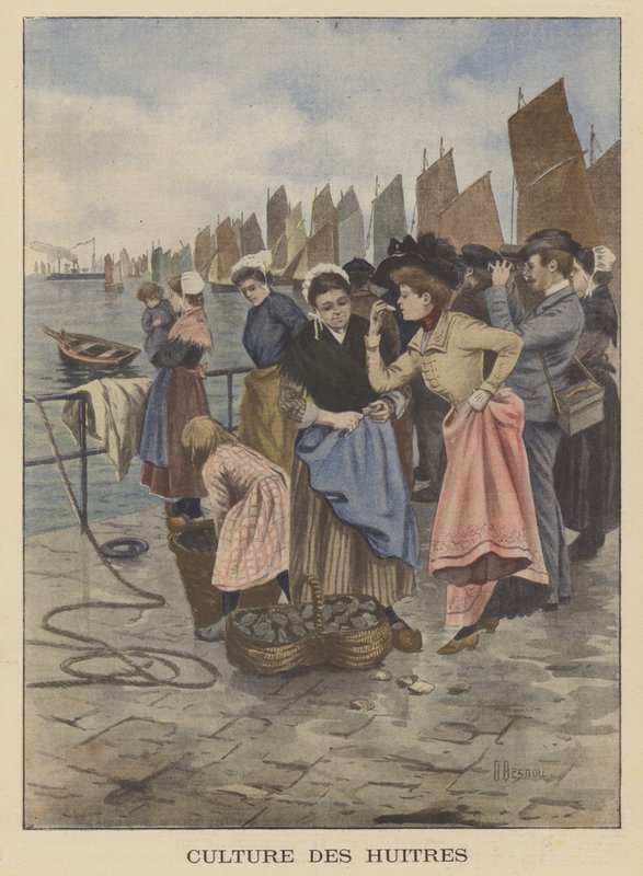 Récolte des huîtres à Cancale, Bretagne - Albert Besnou