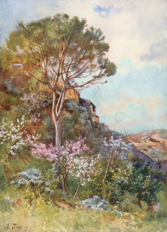 Près de Calatafimi - Alberto Pisa