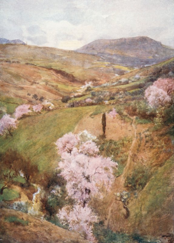 Jour de printemps dans une vallée près de Girgenti - Alberto Pisa