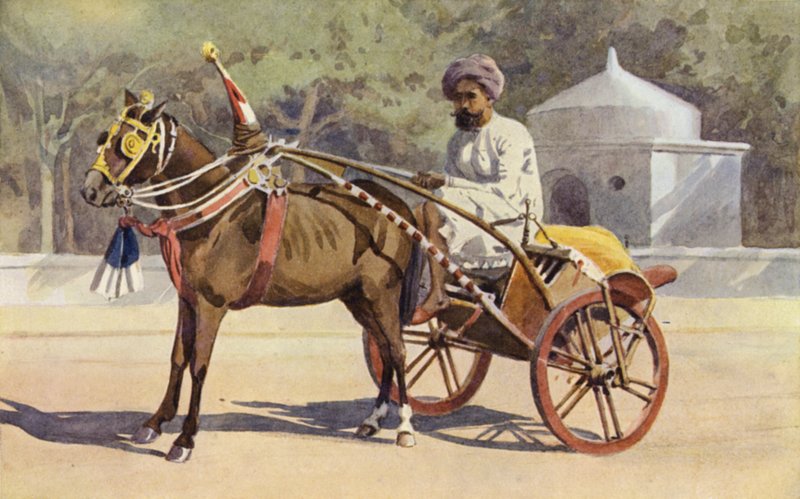 Un Ekka de Bénarès - Alexander Henry Hallam Murray