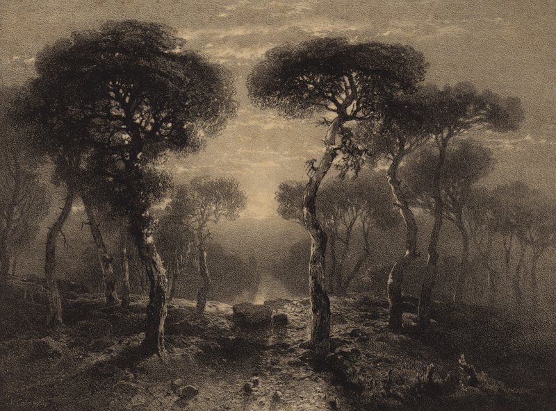 Paysage avec des arbres - Alexandre Calame