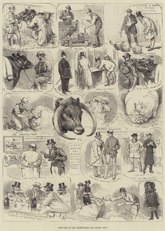 Esquisses au Birmingham Fat Cattle Show - Alfred Courbould