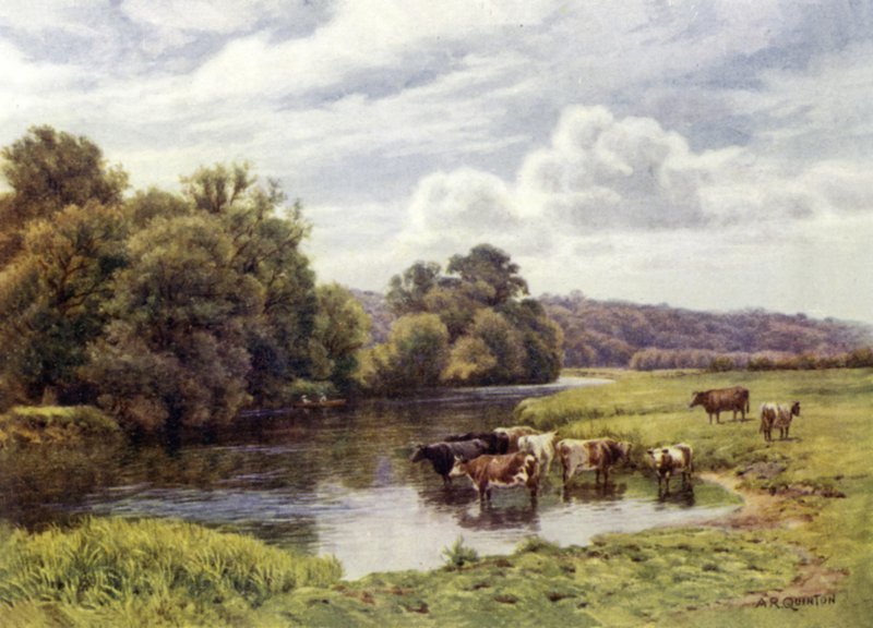 Parc de Nuneham - Alfred Robert Quinton