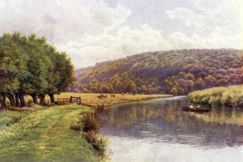 Quarry Woods, Marlow - Alfred Robert Quinton