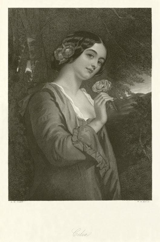 Celia - Alfred Barron Clay