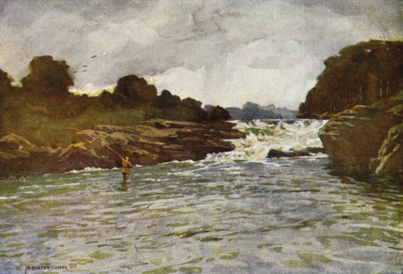 Chutes de Kathleen, Ballyshannon - Alfred Heaton Cooper