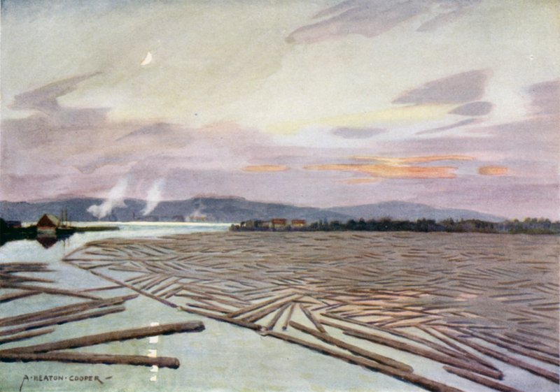 Bois sur la rivière Ångerman, Härnösand - Alfred Heaton Cooper