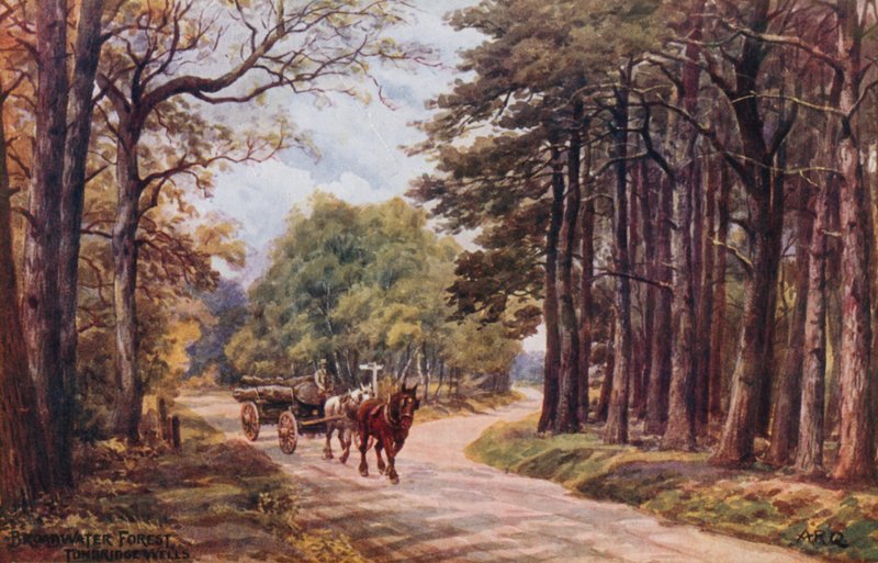Forêt de Broadwater, Tunbridge Wells - Alfred Robert Quinton