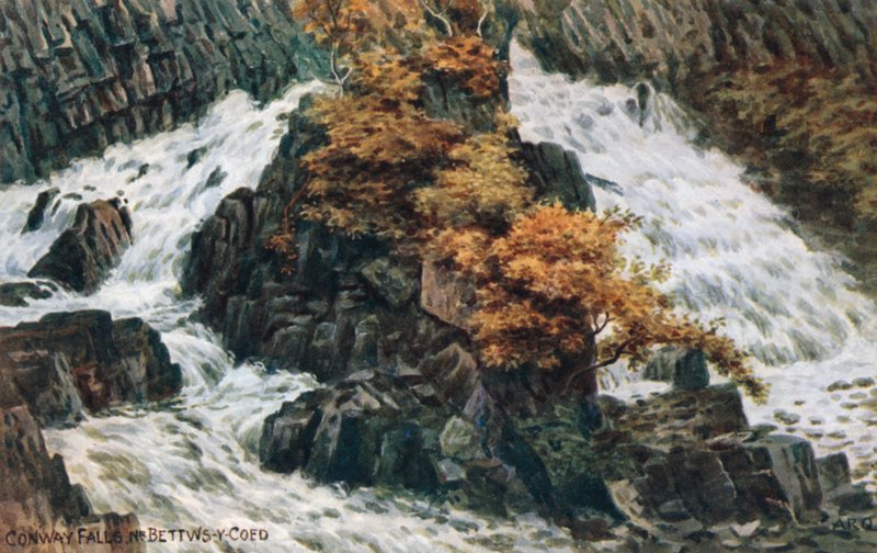 Chutes de Conway, près de Bettws-y-Coed - Alfred Robert Quinton